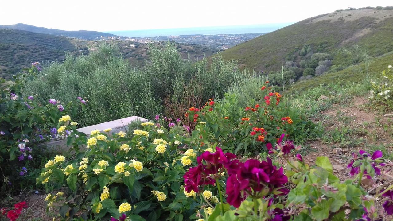 Azienda Agrituristica La Janna Di La Faj Budoni Extérieur photo