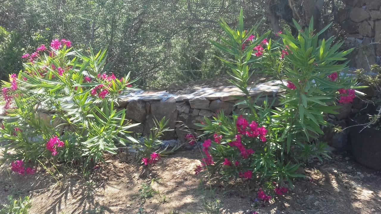 Azienda Agrituristica La Janna Di La Faj Budoni Extérieur photo